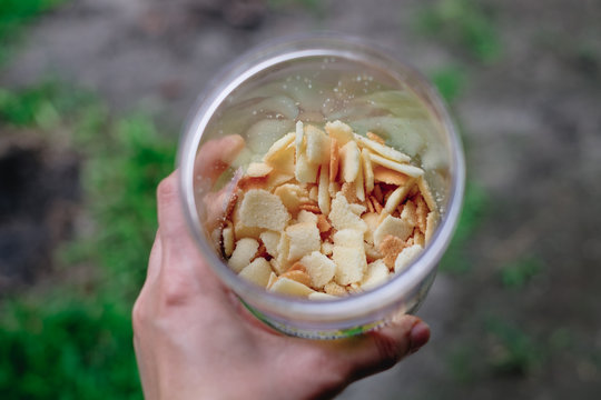 Holding A Clear Round Container Of Biscuits. Selective Focus. Personal Perspective.