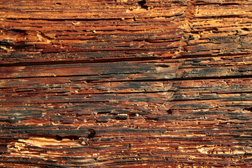 Wood layers