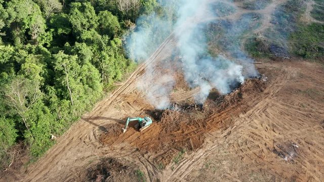Deforestation - tropical rainforest being cleared and burnt to make room for palm oil and rubber plantations