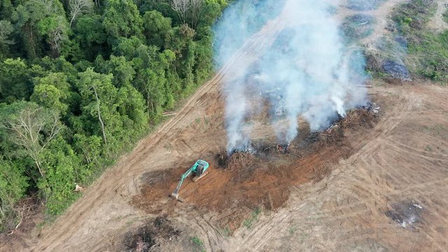 Aerial drone view of deforestation in a tropical rainforest to make way for palm oil plantations
