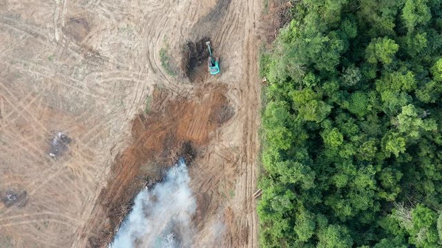 Aerial video of deforestation in a tropical rainforest - land being cleared and burnt for palm oil and rubber plantations