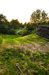 Footpath in the mountain