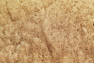 bright sand background