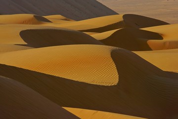 Fototapeta na wymiar Light and shadow on beautiful dunes. Wahiba sands desert (Sharqiyah sands). Oman