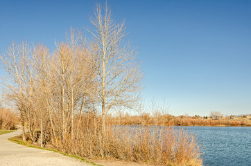 Spring at Spring Meadow Lake