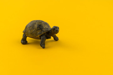 Toy turtle from plastic on a yellow background.