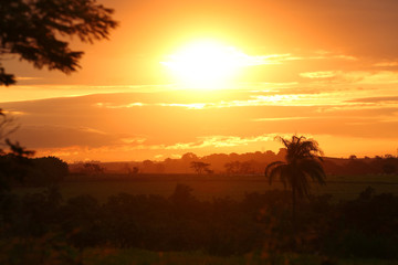 sunset in the field