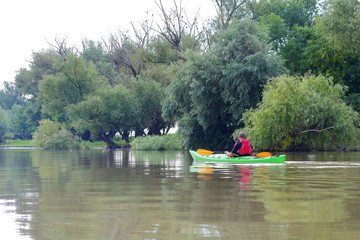 Man paddle green kayak on summer Danube river. Summer kayaking. Concept for adventure, travel,...
