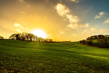 Sunset over winter crops at Combe Valley near Bexhill, East Sussex, England