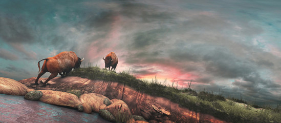 Buffalos on the river bank