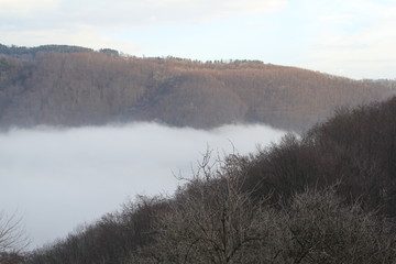 Fototapeta premium Hukvaldy obora autumn