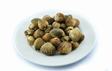 fresh cockles on plate isolated on white background