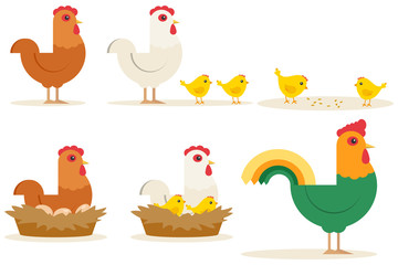 Chicken vector cartoon chick character hen and rooster. Vector set of cute chickens on white background. Chickens made in cartoon style. - obrazy, fototapety, plakaty
