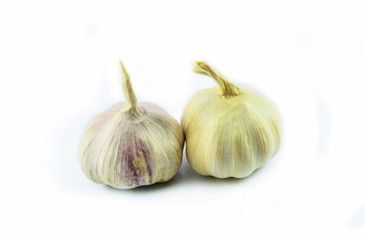 Garlic isolated / Raw garlic on white background
