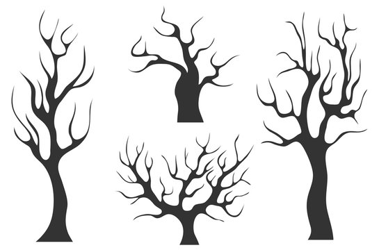 Old black trees without leaves. Set of old black trees isolated on white background. A collection of trees without leaves.