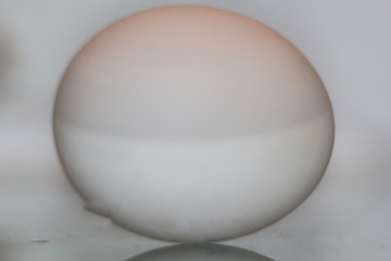 the egg is in the fridge