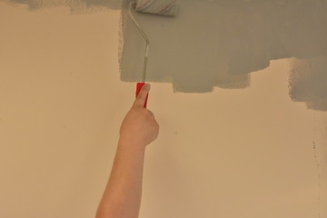 roller the wall
