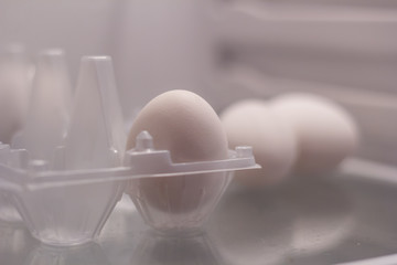 Fototapeta na wymiar the egg is in the fridge