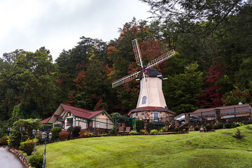 Fototapete bei efototapeten.de bestellen   