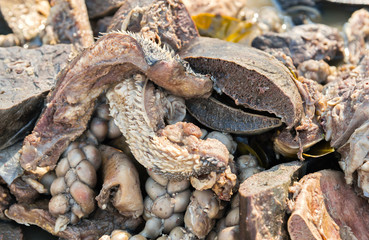 Boiled cow entrails for sale in the local market. Country Thailand.