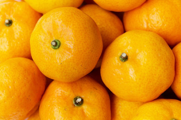 Orange fruit