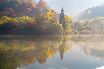 빛내림이 아름다운 세량지의 아침 풍경