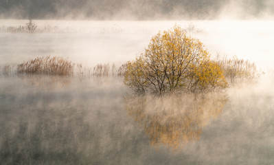 Obraz na płótnie Canvas 물안개가 피어오르는 호수의 아침 풍경