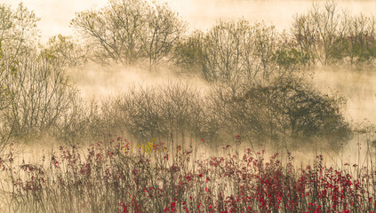 물안개가 피어오르는 호수의 아침 풍경