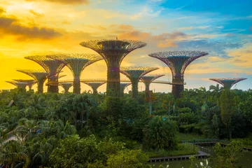 Foto auf Alu-Dibond View of Supertree Grove from Gardens by the Bay, Singapore.  © A e J u n g Z
