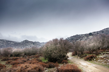 road in crete greece in the fall