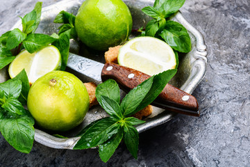 Ingredients for Mojito