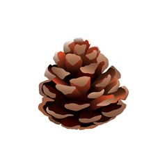 cones on a pine branch in the vector