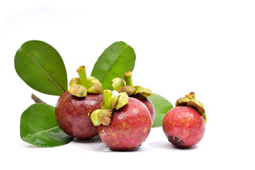 Fresh mangosteen 