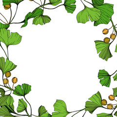 Vector Ginkgo green leaf. Engraved ink art. Frame border ornament square on white background.