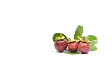 Fresh mangosteen 