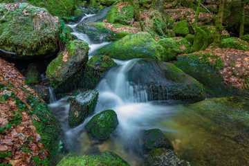 Black Forest in Germany with some smaller waterfall cascades