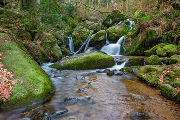 Black Forest in Germany with some smaller waterfall cascades