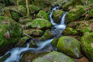 Black Forest in Germany with some smaller waterfall cascades