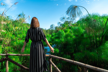 Girl back view watching how papyrus plant is growing in Sicily, Ciane Syracuse, Italy