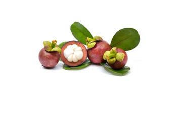 Fresh mangosteen 