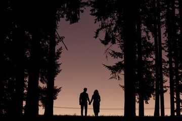 two people at sunset dusk holding hands near tall trees