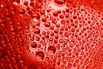 Water drops on red tone background.