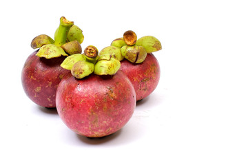 Fresh mangosteen 