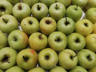 mele verdi al mercato, green apples at the market 