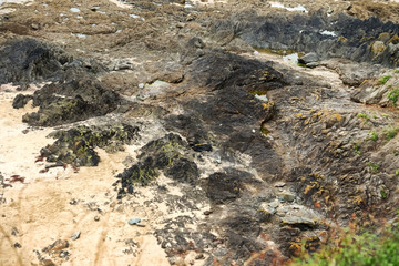 Texture of rocky shore
