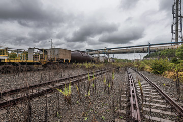 Fototapeta premium cargo trains stopped on old railroad in abandoned industrial site