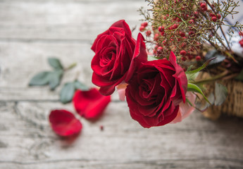 Beautiful red roses
