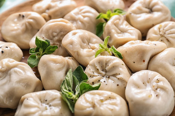 Tasty Chinese dumplings on plate, closeup