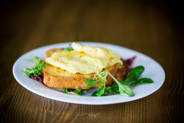 fried croutons in eggs with fried egg in a plate