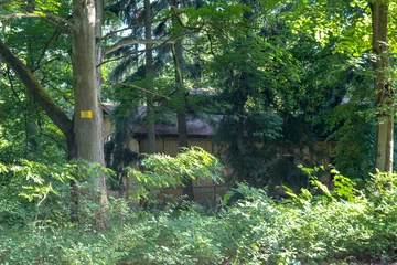 Tuinposter Ruïnes van Beelitz-Heilstätten Verloren plaats Berlijn Brandenburg  © seb868